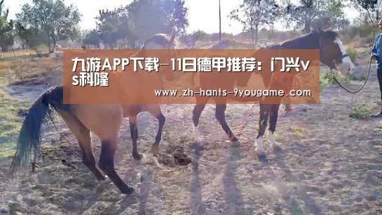 九游APP下载-11日德甲推荐:门兴vs科隆(图4) 九游游戏中心