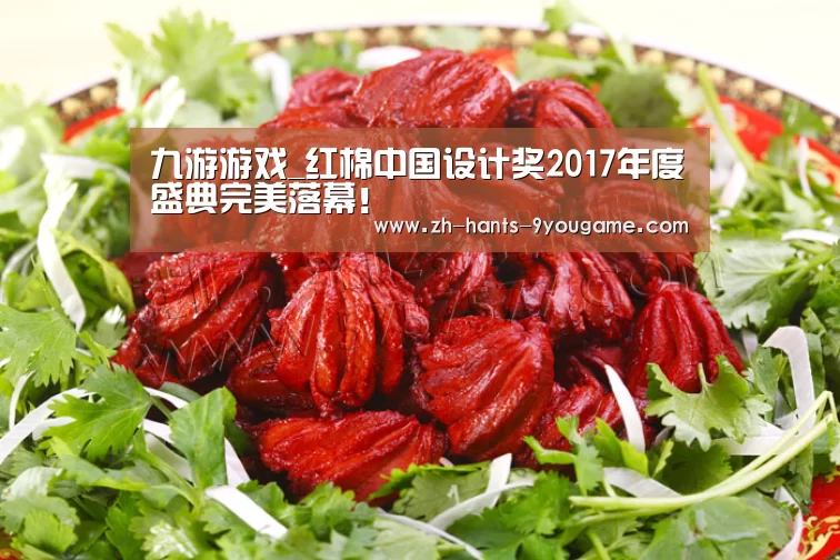 九游游戏_红棉中国设计奖2017年度盛典完美落幕!(图1) 九游游戏