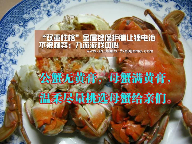 九游官网