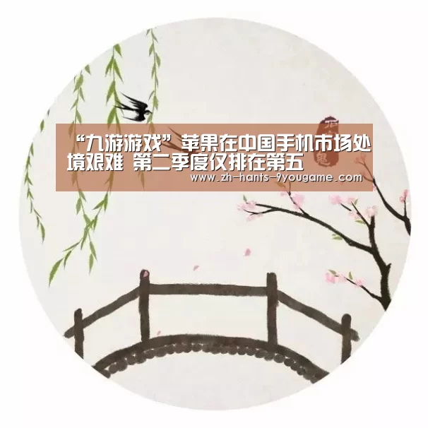 “九游游戏”苹果在中国手机市场处境艰难 第二季度仅排在第五(图2) 九游APP下载